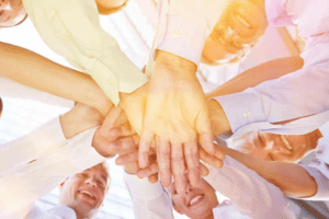 Belbin'S Team Roles Training Course in Czech Republic