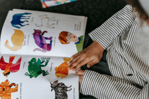 Visual Storytelling Training Course in Czech Republic